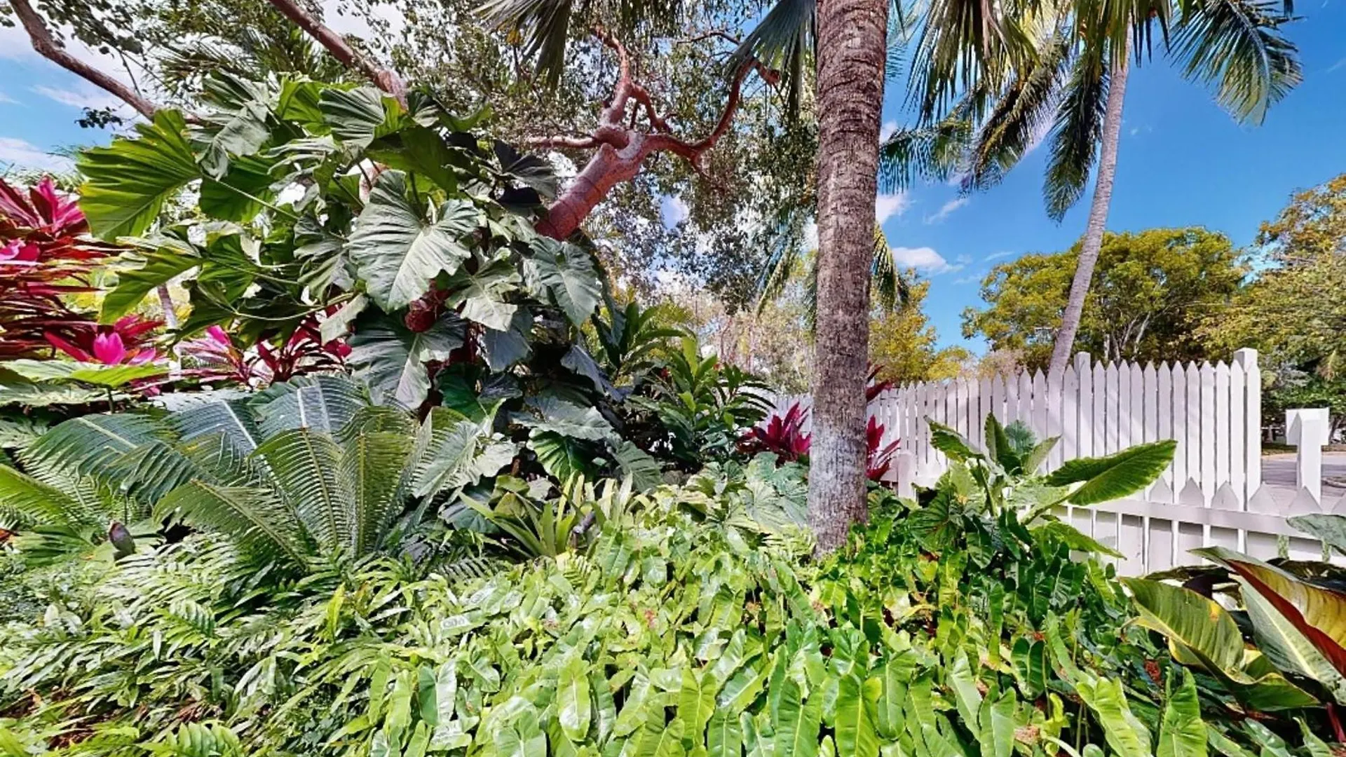 Tatil Evi The Tipsy Mermaid Key West